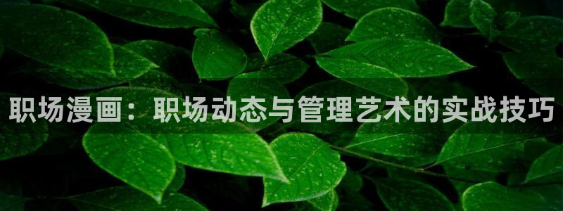 从今天开始做女神漫画：职场漫画：职场动态与管理艺术的实战技巧