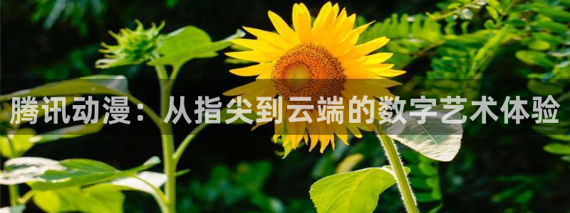女神漫画首：腾讯动漫：从指尖到云端的数字艺术体验