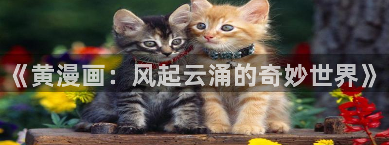 女神漫画官：《黄漫画：风起云涌的奇妙世界》