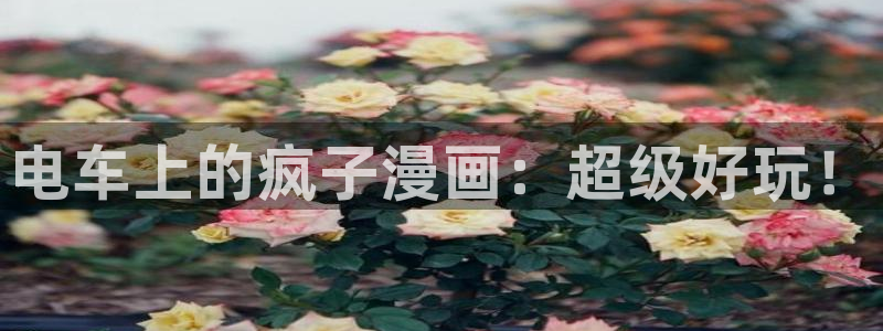 女神漫画网站免费观看：电车上的疯子漫画：超级好玩！